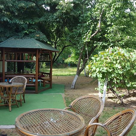 Casa Boiereasca Hostel Craiova Buitenkant foto