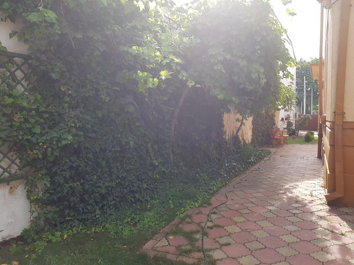 Casa Boiereasca Hostel Craiova Buitenkant foto